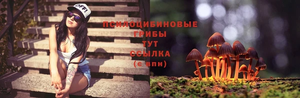 a pvp Вязники