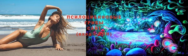 герыч Вяземский