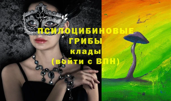 герыч Вяземский