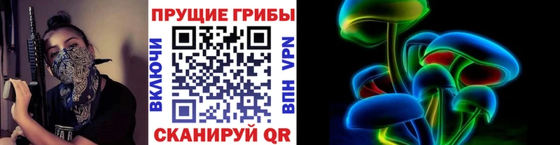 Псилоцибиновые грибы GOLDEN TEACHER  Рубцовск 
