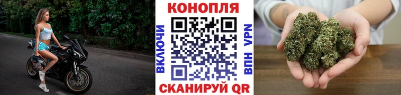 Шишки марихуана конопля Рубцовск